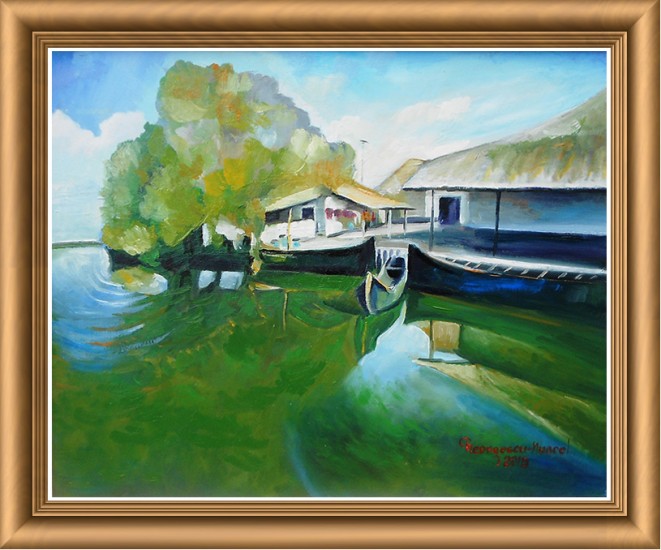 Houses in delta